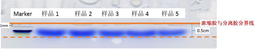 yl7703永利